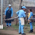 Managua intensifica lucha contra el zancudo transmisor de enfermedades Foto:Managua intensifica lucha contra el zancudo transmisor de enfermedades / TN8