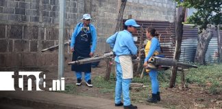 Foto:Managua intensifica lucha contra el zancudo transmisor de enfermedades / TN8