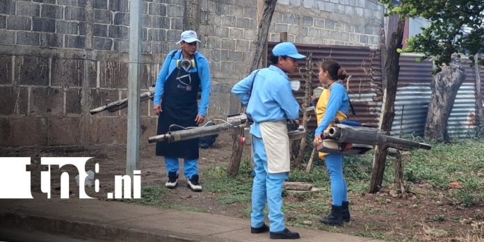 3 Foto:Managua intensifica lucha contra el zancudo transmisor de enfermedades / TN8