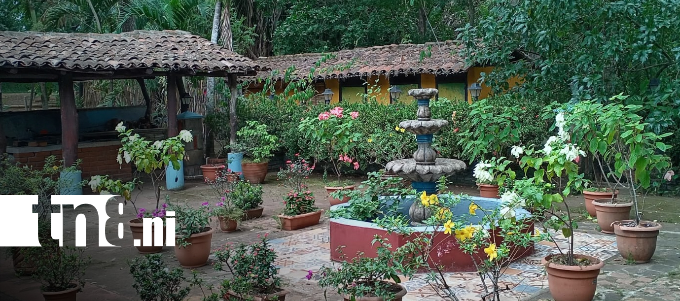 Foto: Turismo rural en Granada: conozca Agro finca El Buen Pastor/TN8