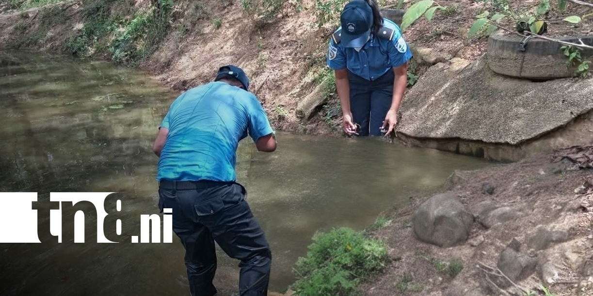 Foto: Encuentran cuerpos de dos hermanos en una zona rural de Nueva Segovia/TN8