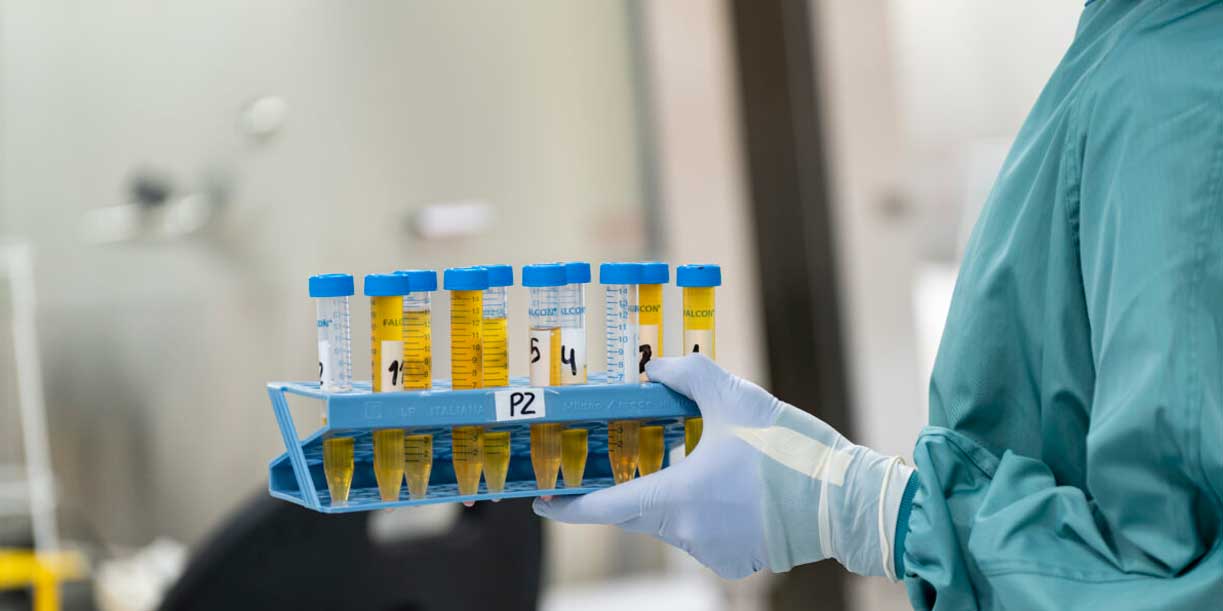 Foto: Campylobacter preocupa por su resistencia/Cortesía