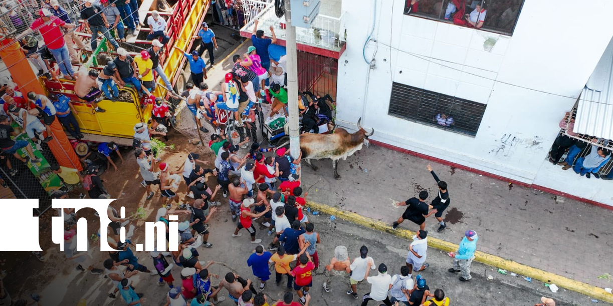 Foto: Masaya se llena de música y adrenalina con el Tope de Toros/TN8