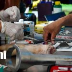 Foto: Tecnológico Che Guevara ofrece 19 carreras técnicas en Madriz/TN8