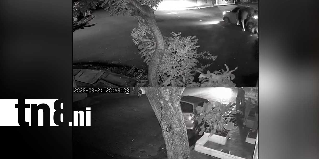 Foto:Videos dan pistas sobre robos en Managua/TN8