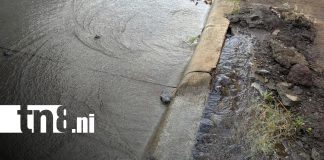 Foto: Fuga de agua preocupa a pobladores de Santa Ana Sur/TN8