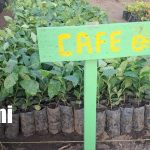 Foto: Nuevo vivero municipal fortalece la reforestación en Ometepe/TN8