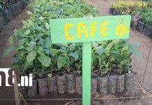 Inauguran nueva infraestructura del vivero municipal en Altagracia, Isla de Ometepe Foto: Nuevo vivero municipal fortalece la reforestación en Ometepe/TN8