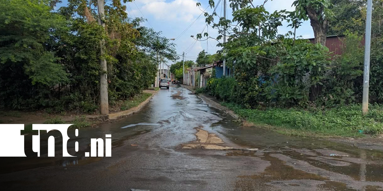 Foto: Fuga de agua preocupa a pobladores de Santa Ana Sur/TN8