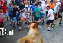 Masaya se vuelca a las calles para vivir su tradicional tope de toros Foto: Masaya se llena de música y adrenalina con el Tope de Toros/TN8