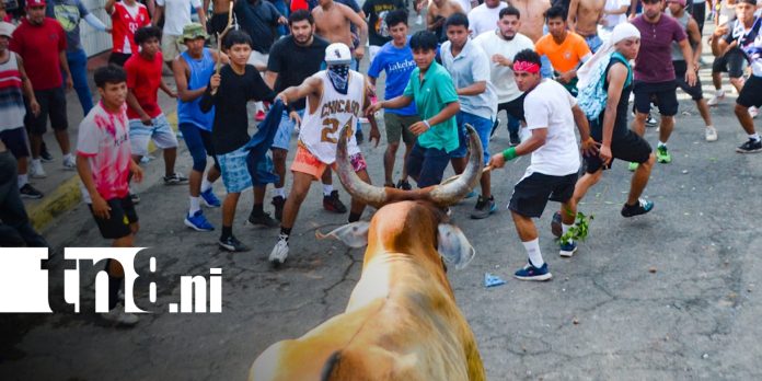 Foto: Masaya se llena de música y adrenalina con el Tope de Toros/TN8