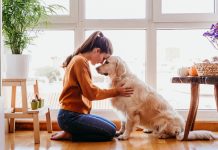 Foto: ¿Hablarle a su mascota mejora su bienestar?/Cortesía