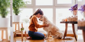Foto: ¿Hablarle a su mascota mejora su bienestar?/Cortesía