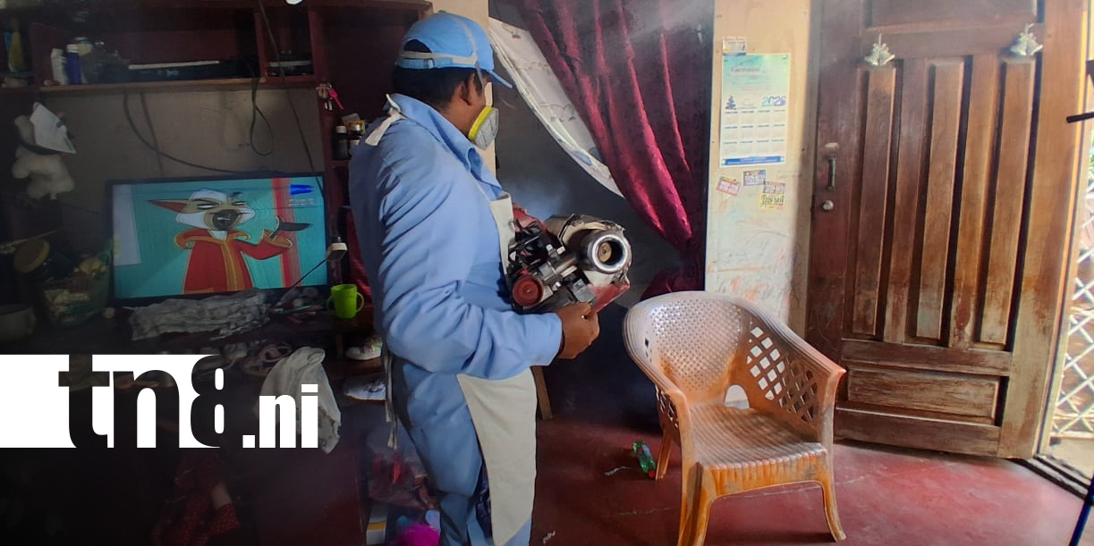 Foto: Brigadas de Salud fumigan 600 viviendas para prevenir enfermedades en Managua/TN8