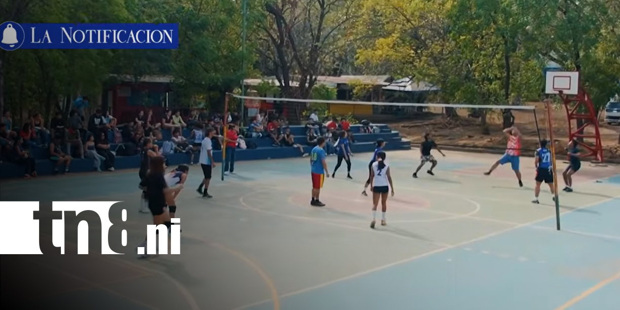 Foto: Estudiantes participan en actividades deportivas, culturales y de recreación/TN8