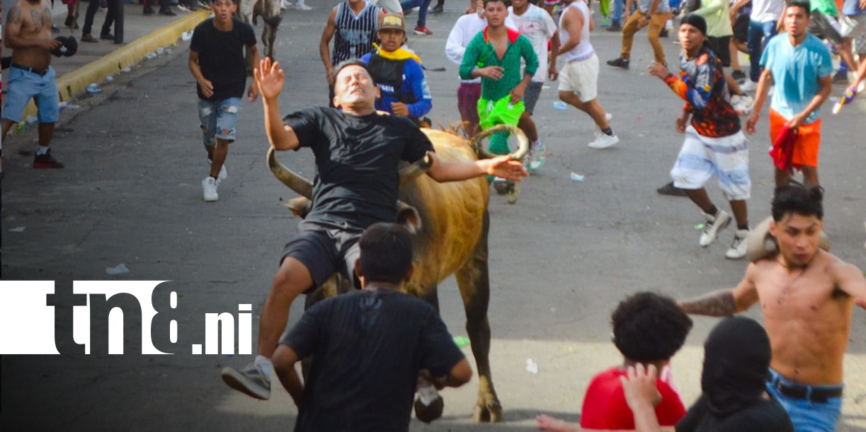 Foto: Masaya se llena de música y adrenalina con el Tope de Toros/TN8