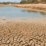 El Súper Niño amenaza al mundo: calor extremo, sequías e incendios Foto: El Súper Niño amenaza al mundo: calor extremo, sequías e incendios / Cortesia
