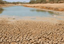 El Súper Niño amenaza al mundo: calor extremo, sequías e incendios Foto: El Súper Niño amenaza al mundo: calor extremo, sequías e incendios / Cortesia