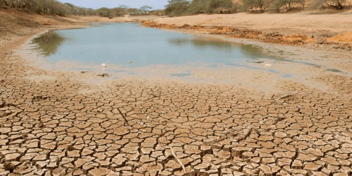 Foto: El Súper Niño amenaza al mundo: calor extremo, sequías e incendios / Cortesia Foto: El Súper Niño amenaza al mundo: calor extremo, sequías e incendios / Cortesia