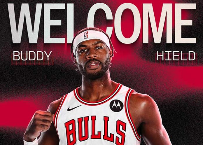 Hield-web buddy, hield, chicago, bulls, nba, baloncesto