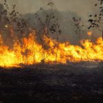 Siete incendios forestales continúan activos en Ecuador Foto: Incendios en Ecuador siguen activos / Cortesía