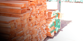 Foto: MARENA autoriza 1,860 constancias para exportaciones forestales en 2026/Cortesía