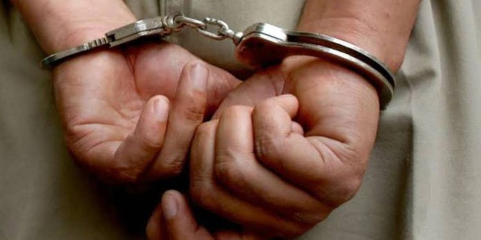 Foto: Golpe a la delincuencia: 10 capturados en el Triángulo Minero/Cortesía Foto: Golpe a la delincuencia: 10 capturados en el Triángulo Minero/Cortesía