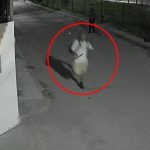 Conmoción por asesinato de estudiante española de 21 años en México Foto: Conmoción por asesinato de estudiante española en México/Cortesía