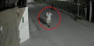 Foto: Conmoción por asesinato de estudiante española en México/Cortesía