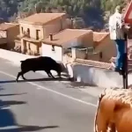 Mujer de 64 años muere corneada por un toro durante encierro en España (VIDEO) Foto: Mujer de 64 años muere corneada por un toro durante encierro en España (VIDEO) /Cortesía