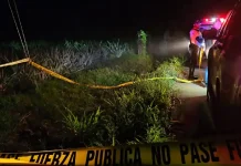 Dos homicidios en menos de 12 horas sacuden San Carlos, Costa Rica Foto: Dos homicidios en menos de 12 horas estremecen a Costa Rica /Cortesía