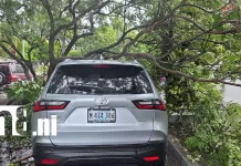 Foto: Ráfagas de viento causan caída de árboles en Managua /TN8