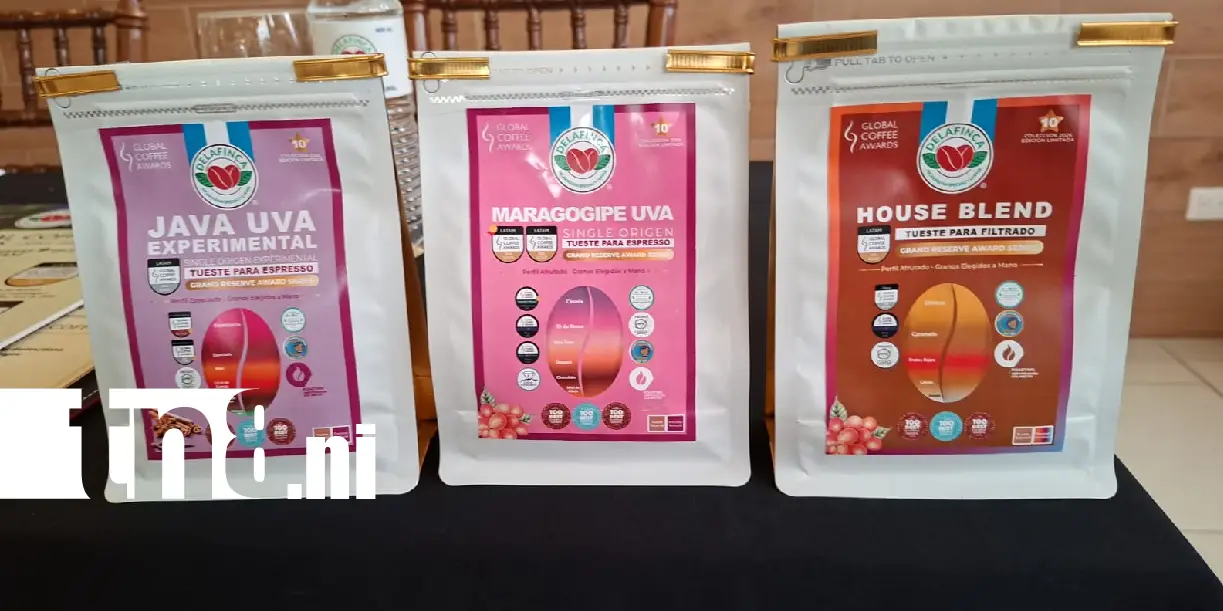 Foto: Nicaragua entre los grandes del café: DELAFINCA obtiene nueve reconocimientos /TN8