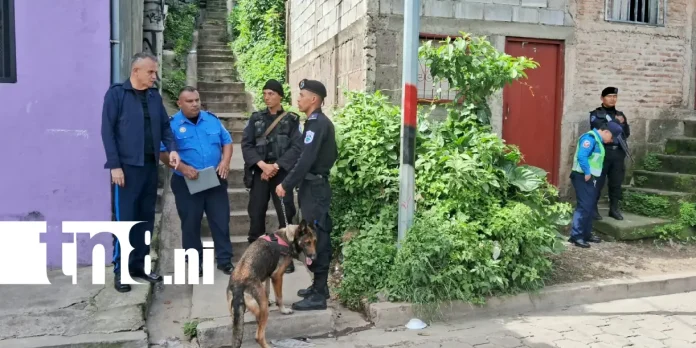 Foto: Joven es señalado de matar a machetazos a su abuela en Matagalpa /TN8