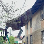 Fuertes vientos provocan desprendimiento de techo en vivienda de León Foto: Techo sale volando por fuertes vientos en León /TN8