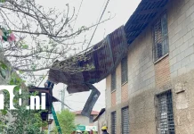Foto: Techo sale volando por fuertes vientos en León /TN8