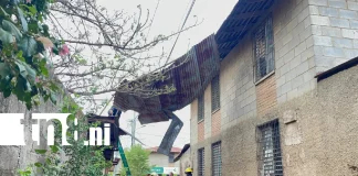 Foto: Techo sale volando por fuertes vientos en León /TN8