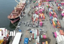 Nicaragua recibe 13 buques internacionales y 585 vehículos nuevos del año 2027 Foto: Llegan a Nicaragua 585 vehículos nuevos del año 2027 /TN8