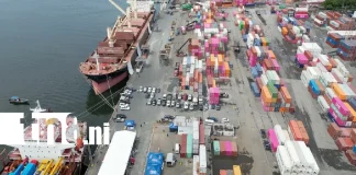 Foto: Llegan a Nicaragua 585 vehículos nuevos del año 2027 /TN8