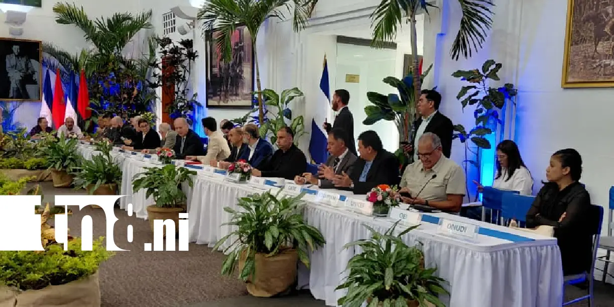 Foto: Parlamento explica cambios propuestos a la Constitución /TN8