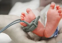 Países Bajos registra primer caso de eutanasia en un menor de 12 años Foto: Niño de 2 años muere por eutanasia en Países Bajos /Cortesía