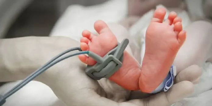Plantilla Moderna TN8.Ni-Recuperado (6) Foto: Niño de 2 años muere por eutanasia en Países Bajos /Cortesía
