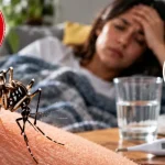 ¿Dengue, chikungunya o Zika? Estas son las diferencias que debés conocer Foto: ¿Fiebre y dolor? Así se diferencian el dengue, chikungunya y Zika /Cortesía