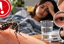 ¿Dengue, chikungunya o Zika? Estas son las diferencias que debés conocer Foto: ¿Fiebre y dolor? Así se diferencian el dengue, chikungunya y Zika /Cortesía