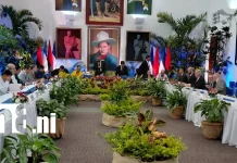 Comisión Especial presenta a diplomáticos avances de reformas a la Constitución Foto: Parlamento explica cambios propuestos a la Constitución /TN8