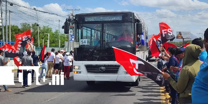 Foto: Familias de León celebran el paso de 107 nuevos autobuses Yutong /TN8 Foto: Familias de León celebran el paso de 107 nuevos autobuses Yutong /TN8