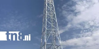 Foto: Muere al caer de una torre de telefonía en Nueva Guinea /TN8