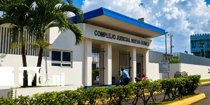 Plantilla Moderna TN8.Ni-Recuperado (9) Foto: Condenado por matar a joven en Nueva Guinea /TN8