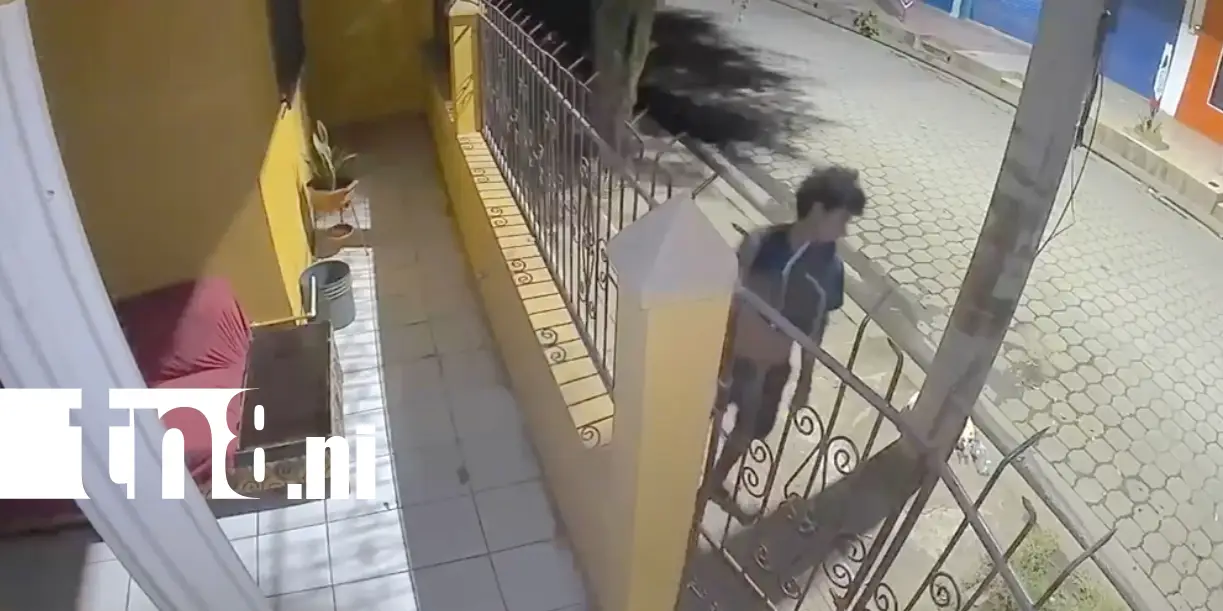 Foto: Ladrones quedan grabados en Chinandega /TN8
