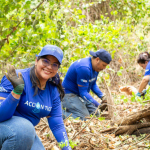 Tigo Nicaragua, Holcim y UNICEF completan reforestación de 14 hectáreas en Reserva Natura Tigo Nicaragua, Holcim y UNICEF completan reforestación de 14 hectáreas en Reserva Natura